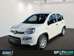 Gelato weiss Gebraucht 2024 Fiat Panda Kleinwagen | 14.995 € (Fairer Preis)
