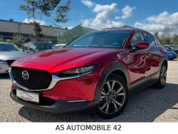 Rot Gebraucht 2020 Mazda CX-30 Selection SUV | 19.690 € (Guter Preis)