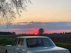 Weiß Gebraucht 1971 Mercedes W115 Limousine | 15.000 €