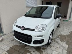 Weiß Gebraucht 2018 Fiat Panda More Kleinwagen | 8.200 € (Fairer Preis)