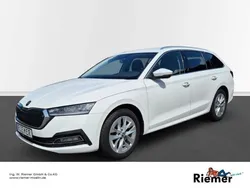 Weiss Gebraucht 2023 Skoda Octavia Style Kombi | 26.489 € (Fairer Preis)