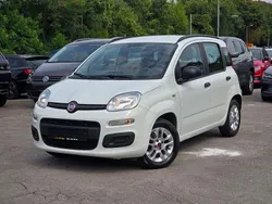 Weiß Gebraucht 2014 Fiat Panda Kleinwagen | 6.900 € (Fairer Preis)