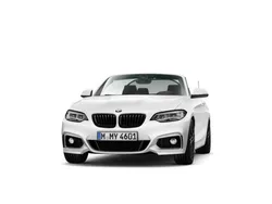 Gebraucht 2020 BMW 220 Efficient Dynamics Cabrio | 31.750 € (Teuer)
