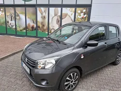 Grau Gebraucht 2015 Suzuki Celerio Comfort Limousine | 4.550 € (Guter Preis)