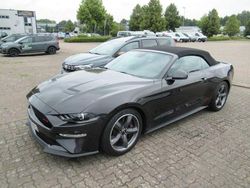 Andere Gebraucht 2024 Ford Mustang | 52.800 €