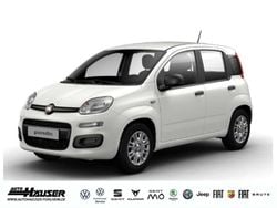 Gelato weiss Gebraucht 2025 Fiat Panda Kleinwagen | 14.495 € (Fairer Preis)