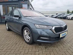 Grau Gebraucht 2021 Skoda Octavia Clever Kombi | 19.390 € (Superpreis)