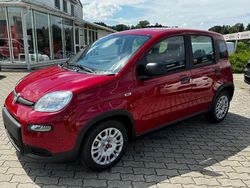 Passione rot Neu 2024 Fiat Panda Kleinwagen | 14.990 € (Fairer Preis)