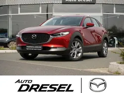 Neu 2024 Mazda CX-30 Center-Line SUV | 31.510 €