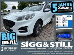 Frostweiß Gebraucht 2022 Ford Kuga ST-Line X SUV | 25.750 € (Guter Preis)