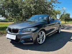 Grau Gebraucht 2016 BMW 228 M Sport Cabrio | 18.500 € (Guter Preis)