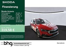 Velvetrot premium metallic Gebraucht 2021 Skoda Octavia Kombi | 30.430 € (Fairer Preis)