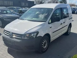 Weiß Gebraucht 2019 VW Caddy Van / Kleinbus | 15.989 € (Guter Preis)