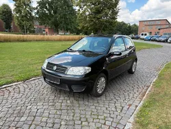 Schwarz Gebraucht 2003 Fiat Punto Kleinwagen | 1.750 € (Teuer)