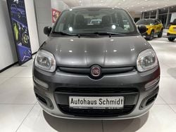 Grau Gebraucht 2019 Fiat Panda Easy Kleinwagen | 8.990 € (Fairer Preis)