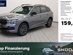 Grau Neu 2025 Skoda Kamiq Tour SUV | 29.980 € (Etwas zu teuer)