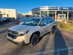 Gold Neu 2025 Subaru Forester Exclusive+ SUV | 42.590 € (Fairer Preis)