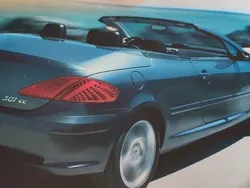 Grau Gebraucht 2004 Peugeot 307 CC Cabrio | 2.990 € (Fairer Preis)