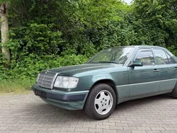 Grün Gebraucht 1992 Mercedes 230 Limousine | 3.750 €
