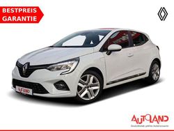 Weiß Gebraucht 2019 Renault Clio IV Intens Kleinwagen | 14.950 € (Teuer)