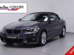 Grau Gebraucht 2015 BMW 225 M Sport Cabrio | 11.369 € (Fairer Preis)