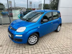 Blau Neu 2025 Fiat Panda Kleinwagen | 15.990 € (Fairer Preis)