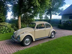 Beige Gebraucht 1970 VW Käfer Kleinwagen | 11.400 €