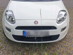 Weiß Gebraucht 2018 Fiat Punto Basis Kleinwagen | 6.600 € (Fairer Preis)