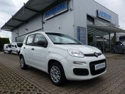 Weiß Gebraucht 2019 Fiat Panda Easy Kleinwagen | 7.800 € (Fairer Preis)