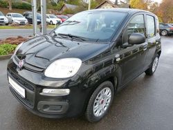 Schwarz Gebraucht 2017 Fiat Panda Easy Kleinwagen | 7.299 € (Fairer Preis)