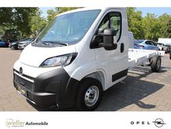 Weiss Neu 2025 Opel Movano Van | 27.690 € (Superpreis)