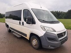 Weiß Gebraucht 2017 Fiat Ducato Van | 9.999 € (Guter Preis)
