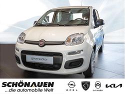 Weiss Neu 2025 Fiat Panda Pop Limousine | 15.990 € (Teuer)