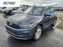 Delfingrau (metallic) Gebraucht 2023 VW Tiguan S SUV | 29.450 € (Superpreis)