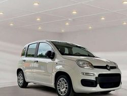 Weiß Neu 2025 Fiat Panda Kleinwagen | 13.799 € (Guter Preis)