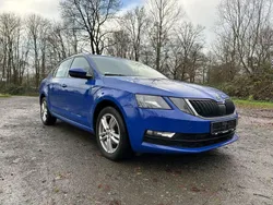 Blau Gebraucht 2019 Skoda Octavia Soleil Limousine | 13.290 € (Guter Preis)