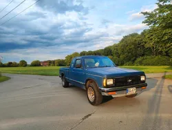 Blau Gebraucht 1992 Chevrolet S10 Abholung | 8.000 €