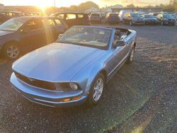 Blau Gebraucht 2008 Ford Mustang Cabrio | 8.400 € (Guter Preis)