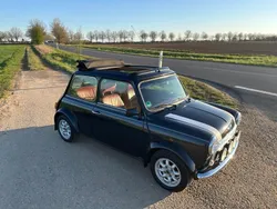 Mini 1300