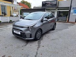 Meteorite grey Neu 2025 Kia Picanto Vision Kleinwagen | 17.990 € (Etwas zu teuer)