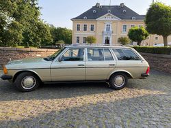 Grün Gebraucht 1984 Mercedes E230 Kombi | 16.000 €