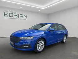 Energyblau Gebraucht 2022 Skoda Octavia Ambition Kombi | 20.990 € (Guter Preis)