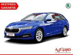Blau Gebraucht 2022 Skoda Octavia Kombi | 21.950 € (Guter Preis)