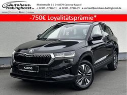 Graphite grau Neu 2025 Skoda Karoq Tour SUV | 33.990 € (Guter Preis)