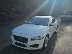 Weiß Gebraucht 2017 Jaguar XF Prestige Limousine | 10.900 € (Etwas zu teuer)