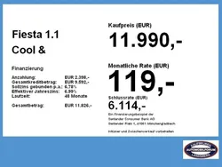 Frostweiß Gebraucht 2021 Ford Fiesta Cool & Connect Kleinwagen | 11.990 € (Fairer Preis)