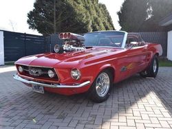 Rot Gebraucht 1967 Ford Mustang Convertible Cabrio | 150.000 €