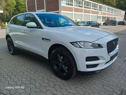 Weiß Gebraucht 2016 Jaguar F-Pace Pure SUV | 10.950 €
