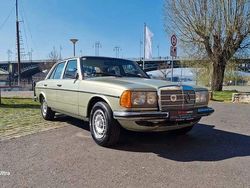 Grün Gebraucht 1977 Mercedes 280 Limousine | 16.499 €