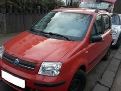 Rot Gebraucht 2005 Fiat Panda Kleinwagen | 2.499 € (Etwas zu teuer)